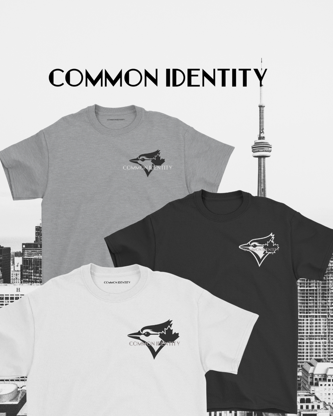 Everyday Essential "Toronto" Tee - Grey