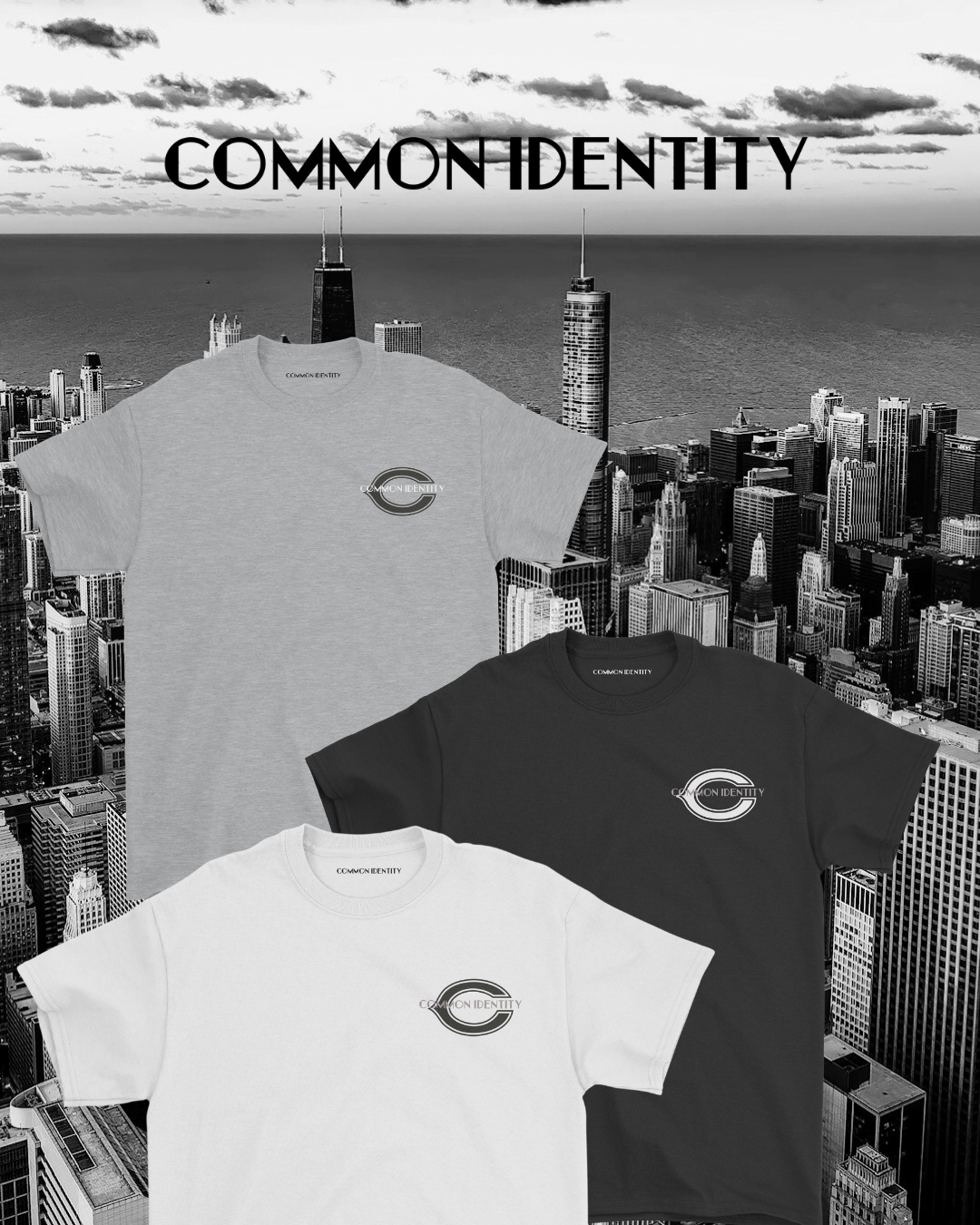 Everyday Essential "Chicago Bears" Tee - Grey